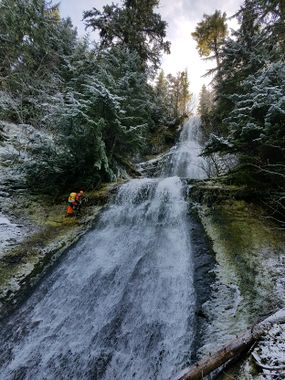 Bozoo Creek Banner.jpg