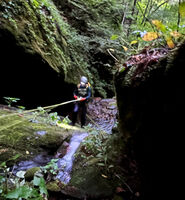 Mudcut Branch Canyon-20240516012743 pic.jpg