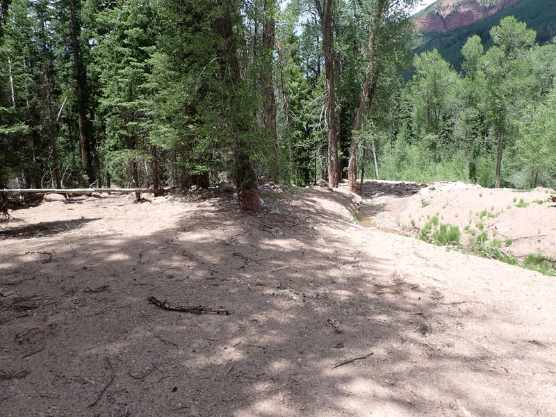 File:Sheepdog Creek pic13.jpg