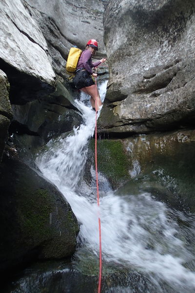 File:Shop Creek Banner.jpg