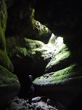 Ape Cave Banner.jpg