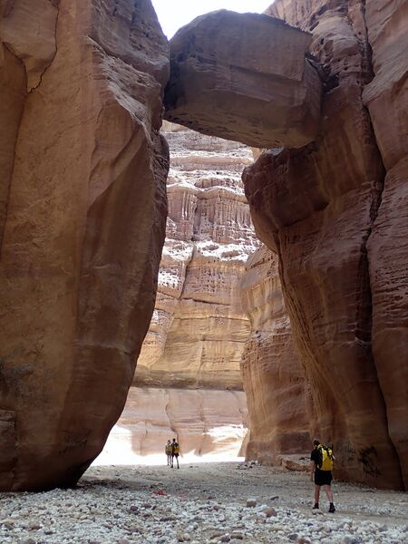 File:Numeira Chock Aug24.jpg