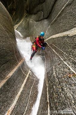 Salto Banner.jpg
