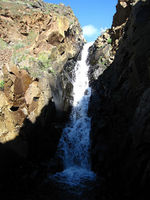 Fivemile Creek-20170719224414 pic.jpg