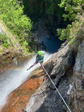 Grey Mairs Tail Banner.jpg