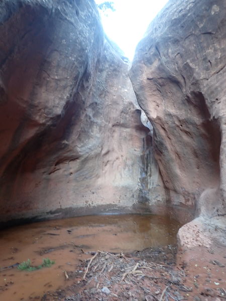 File:Miller Creek (Dinosaur) pic11.jpg