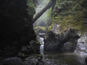 Looper Creek-20240823171112 pics5.jpg