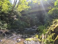 Fools Canyon (Olympic Peninsula)-20210628013104 pic.jpg