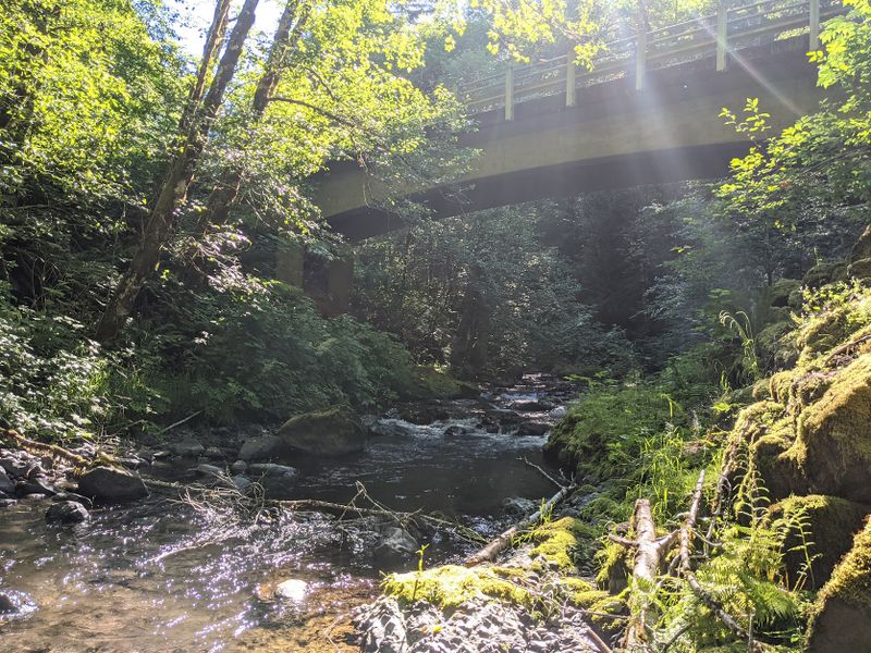 File:Fools Canyon (Olympic Peninsula)-20210628013104 pic.jpg