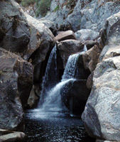 Marble Fork Kaweah River (Chrysalis)-20141119074913 pic.jpg