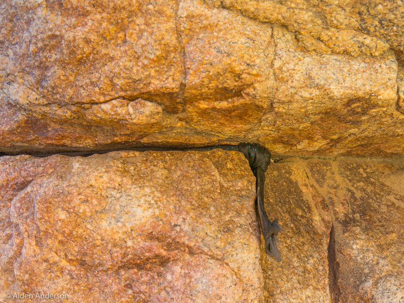 File:Nehr Canyon Knot Chock 1.jpg