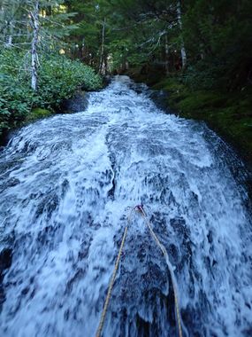 Parker Creek Banner.jpg