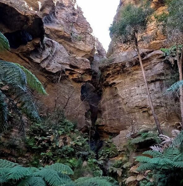 File:Scuttlebutt Banner.jpg