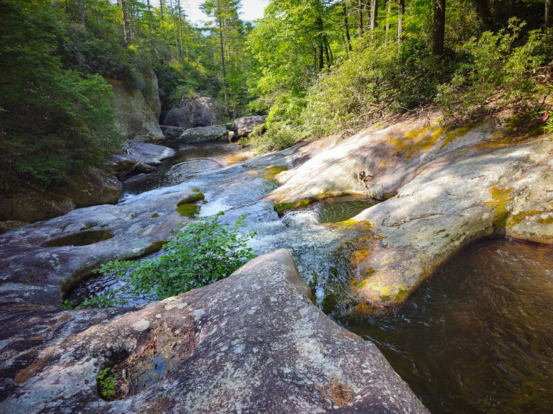 File:Steels Creek Start2.jpg