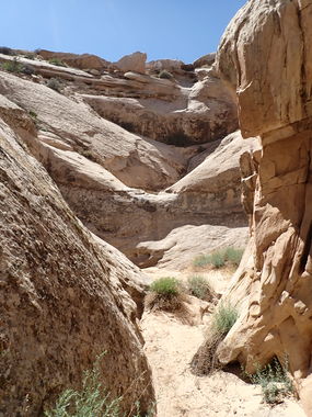 Succinct Canyon Banner.jpg