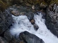 Thunder Creek (North Cascades)-20200910101757 pic.jpg