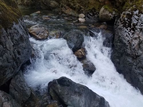 Thunder Creek (North Cascades)-20200910101757 pic.jpg