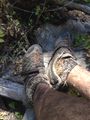 Thumbnail for version as of 00:15, 23 July 2016