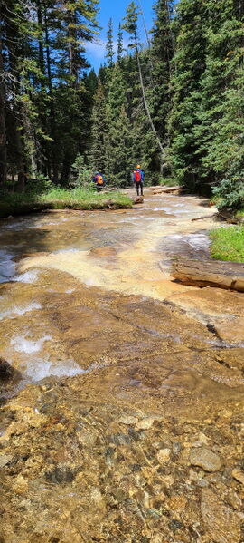 File:Lake Fork (Upper) pic023.jpg