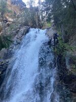 Offset yourself to the flow-20230827043117 pic.jpg