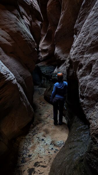 File:Poverty Wash Banner.jpg