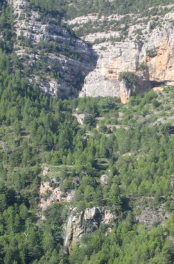 Arquero Banner.jpg
