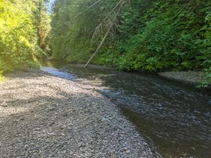 Fools Canyon (Olympic Peninsula) gravel bars.jpg