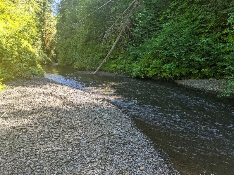 File:Fools Canyon (Olympic Peninsula) gravel bars.jpg