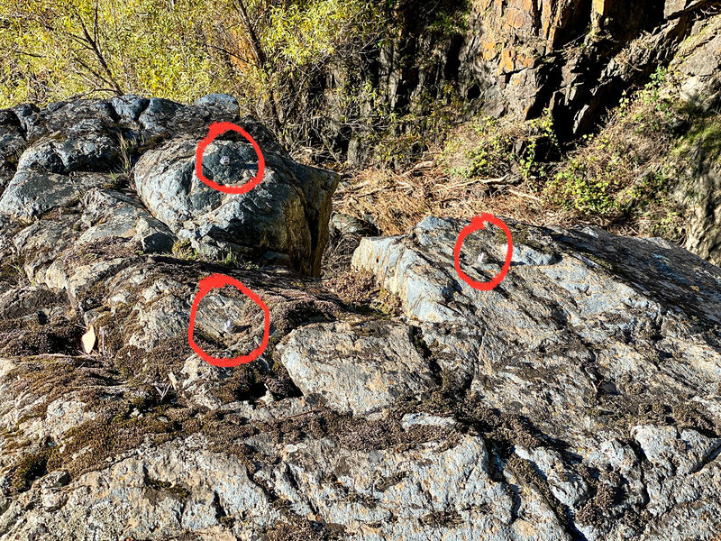 File:Knickerbocker Creek name.jpg