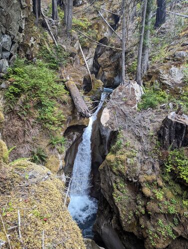 Ladder Creek-20260410070804 pic.jpg