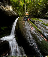 Mudcut Branch Canyon-20240516011825 pic.jpg