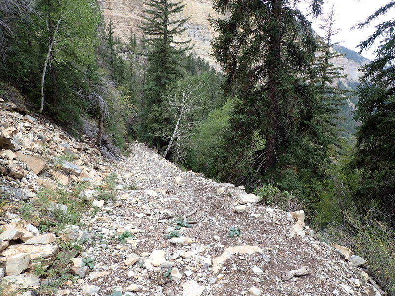 File:Parachute Creek (East Fork) pic30.jpg