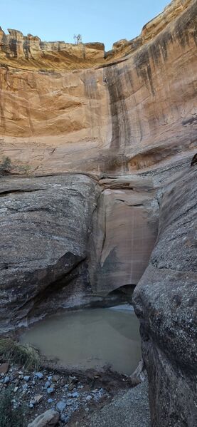 File:Zenith Canyon pic009.jpg