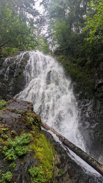 File:FILE-20250803020430.jpg