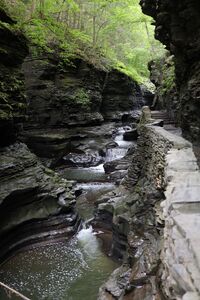 Glen Creek pic014.jpg