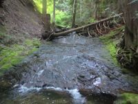 Koda Creek-20200822022350 pic.jpg