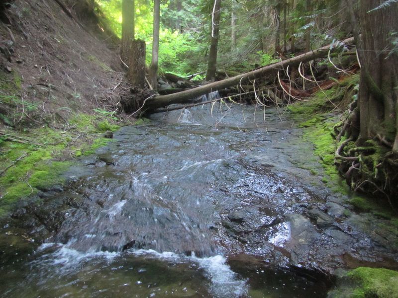 File:Koda Creek-20200822022350 pic.jpg