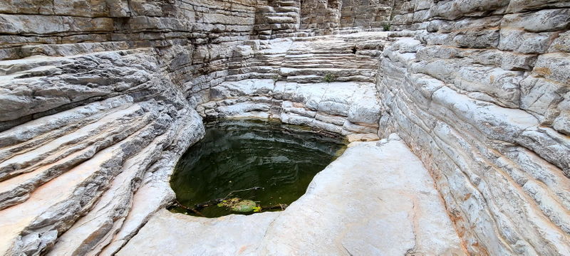 File:Pine Springs (Devil's Hall) pic10.jpg