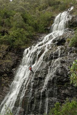 Bluey Creek Banner.jpg