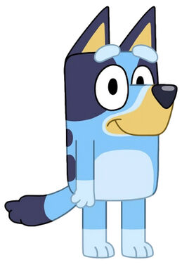 Bluey Creek Banner.jpg