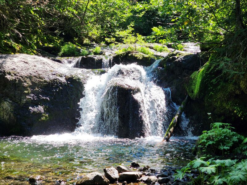 File:FILE-20240715201101.jpg