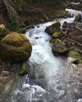 Goat Creek-20180112063325 pic.jpg