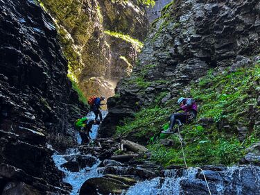 Pandemonium Banner.jpg