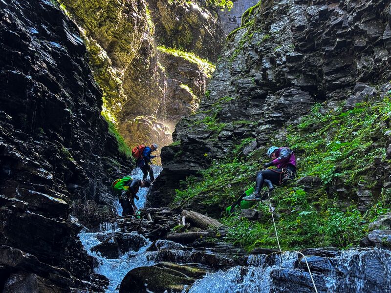 File:Pandemonium Banner.jpg