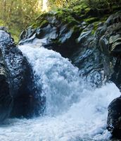 Thunder Creek (North Cascades)-20201010220649 pic.jpg
