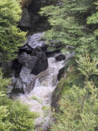 Cross Creek-20240604200947 pic.jpg