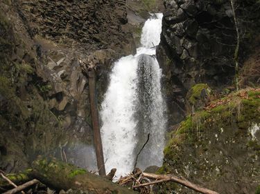 Greenleaf Creek Banner.jpg