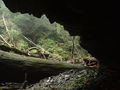Thumbnail for version as of 06:22, 28 October 2020