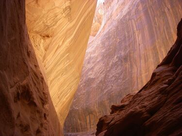 Larry Canyon Banner.jpg