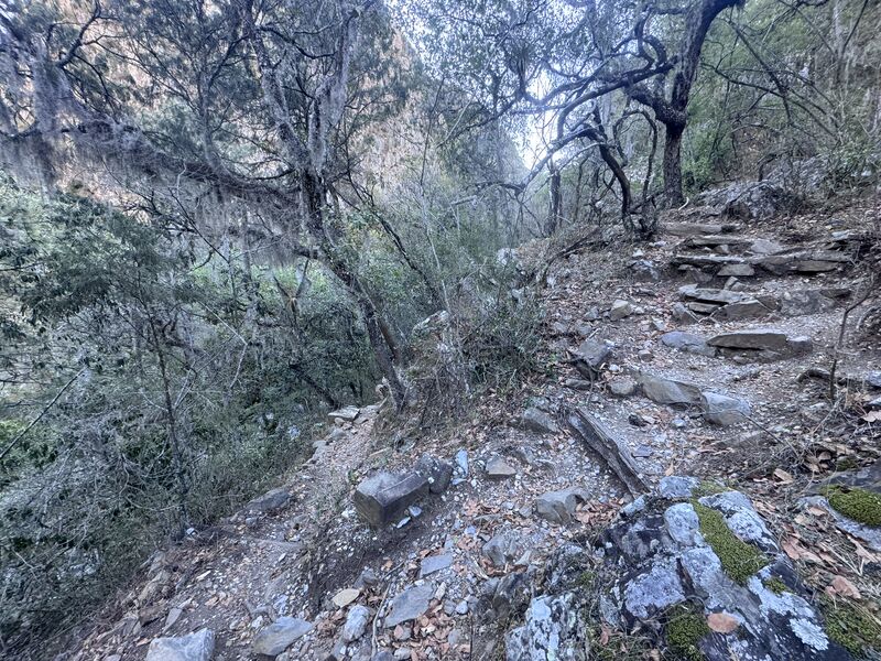 File:Matacanes approachstairs.jpg